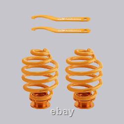 Coilover For BMW E46 Touring 3 Series Adjustable Suspension Lowering Shock Kit